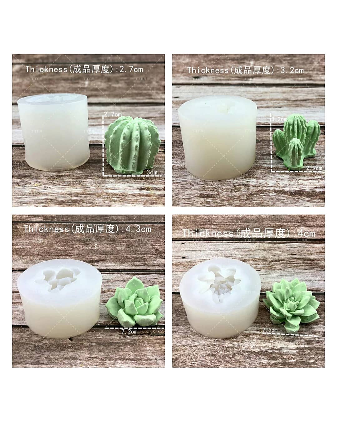  قالب 3 بعدی کاکتوس(11 طرح)