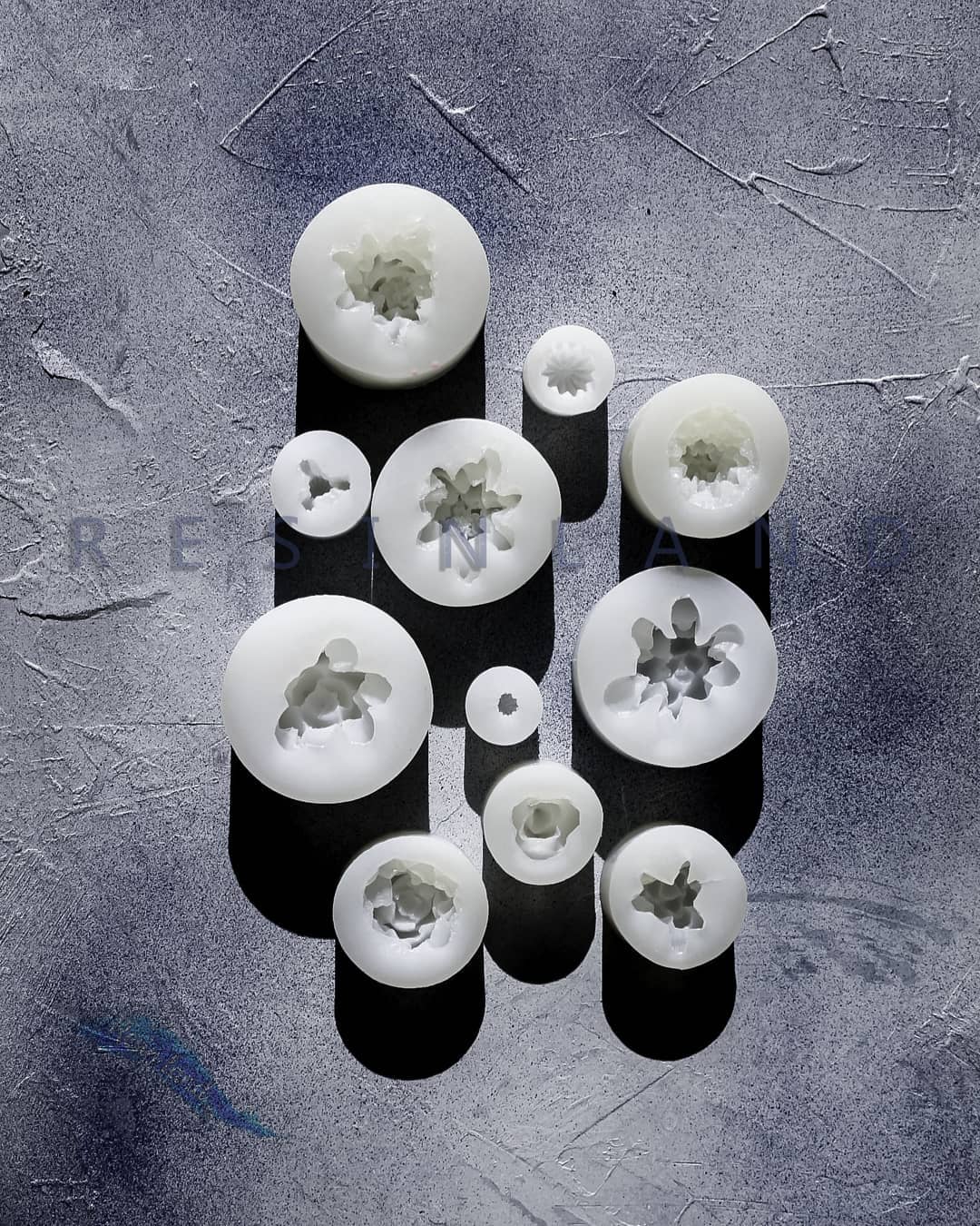  قالب 3 بعدی کاکتوس(11 طرح)