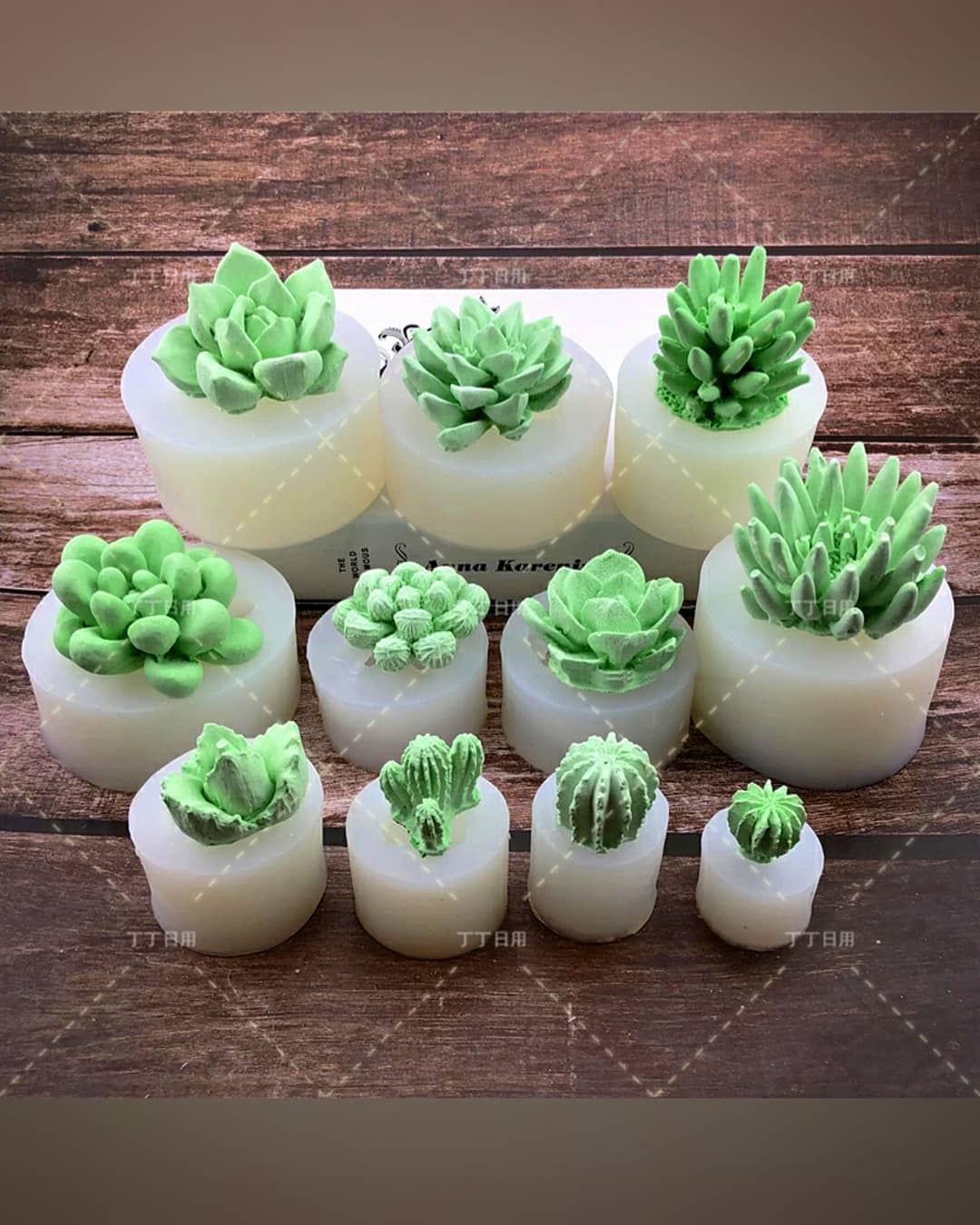  قالب 3 بعدی کاکتوس(11 طرح)