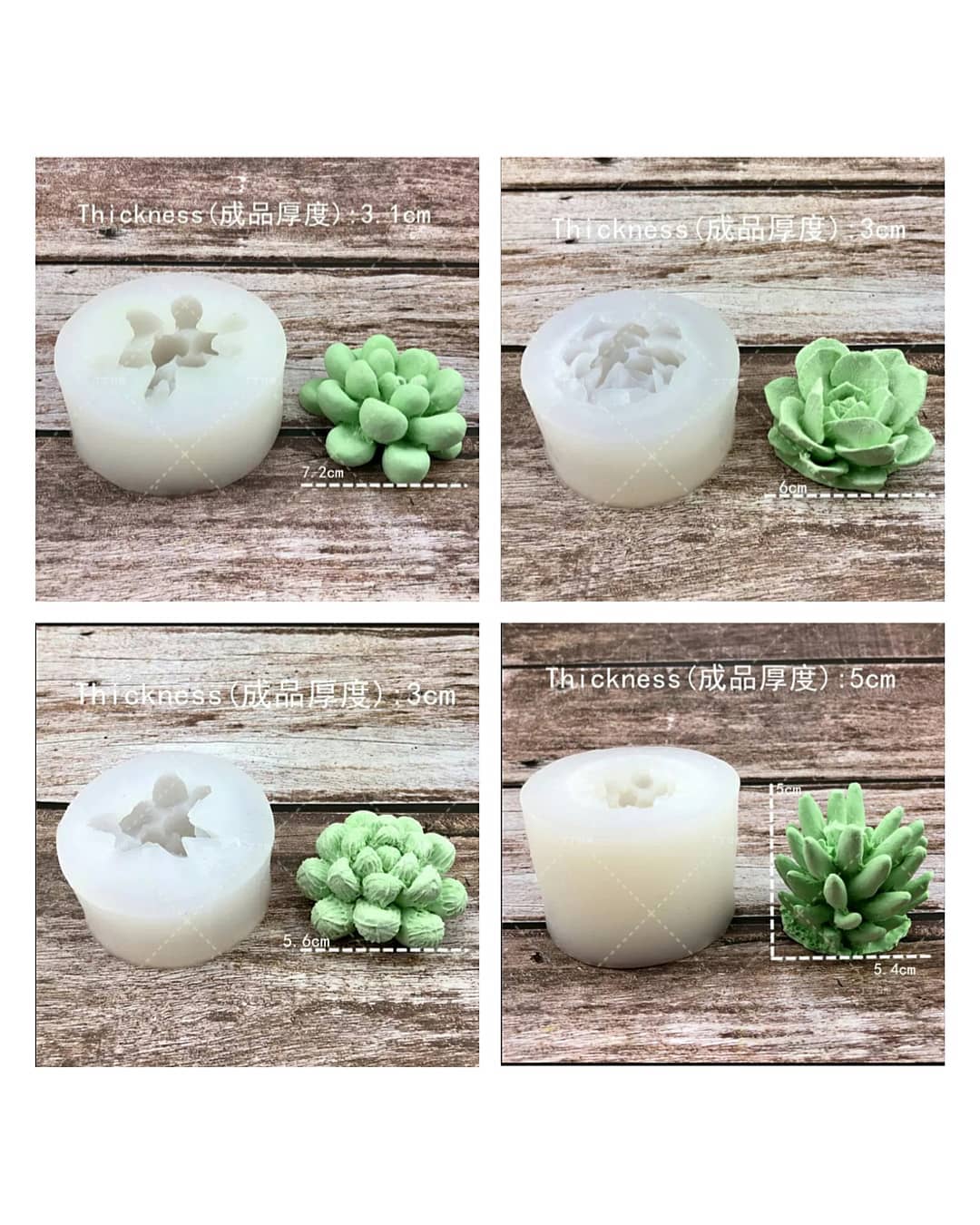  قالب 3 بعدی کاکتوس(11 طرح)