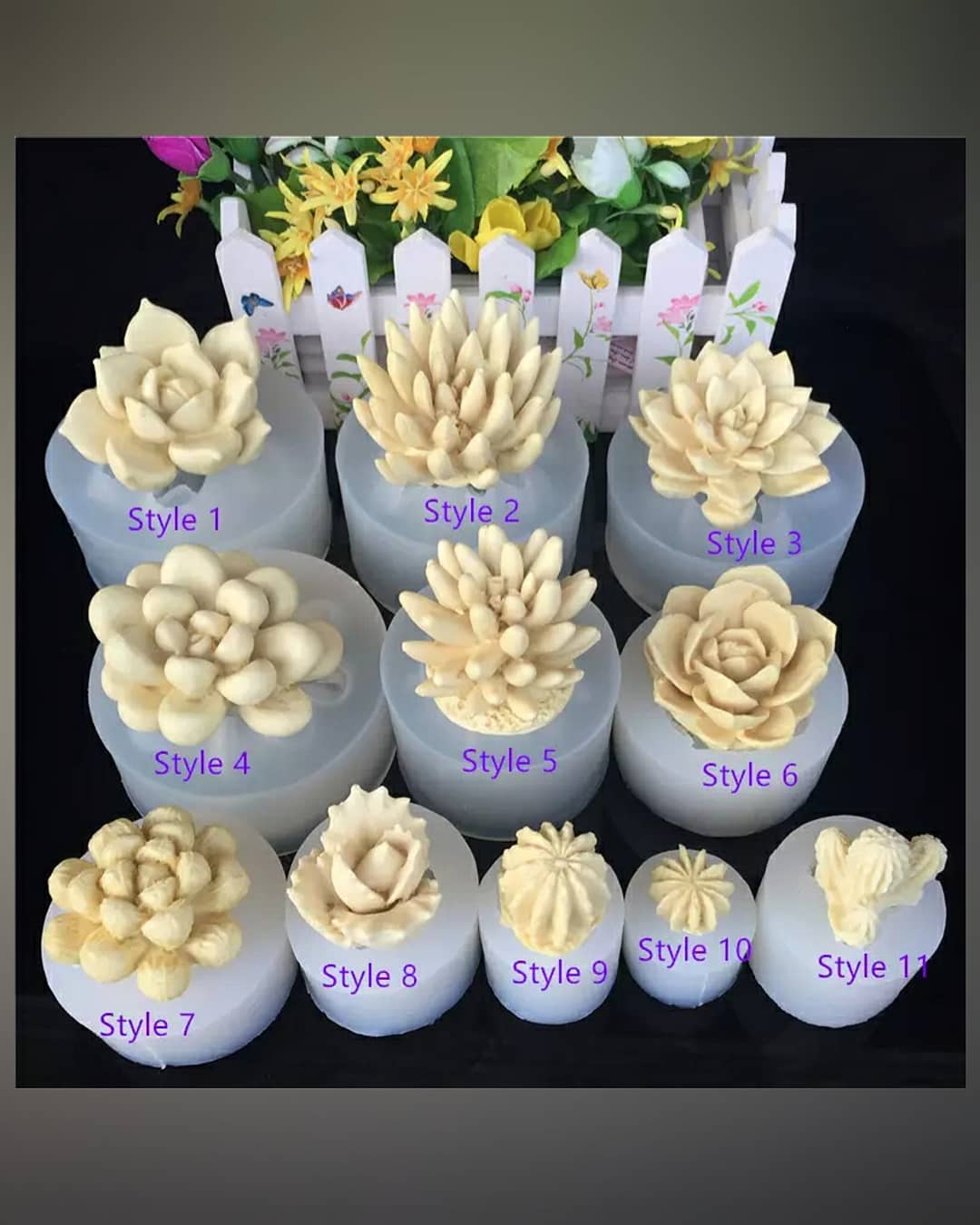  قالب 3 بعدی کاکتوس(11 طرح)