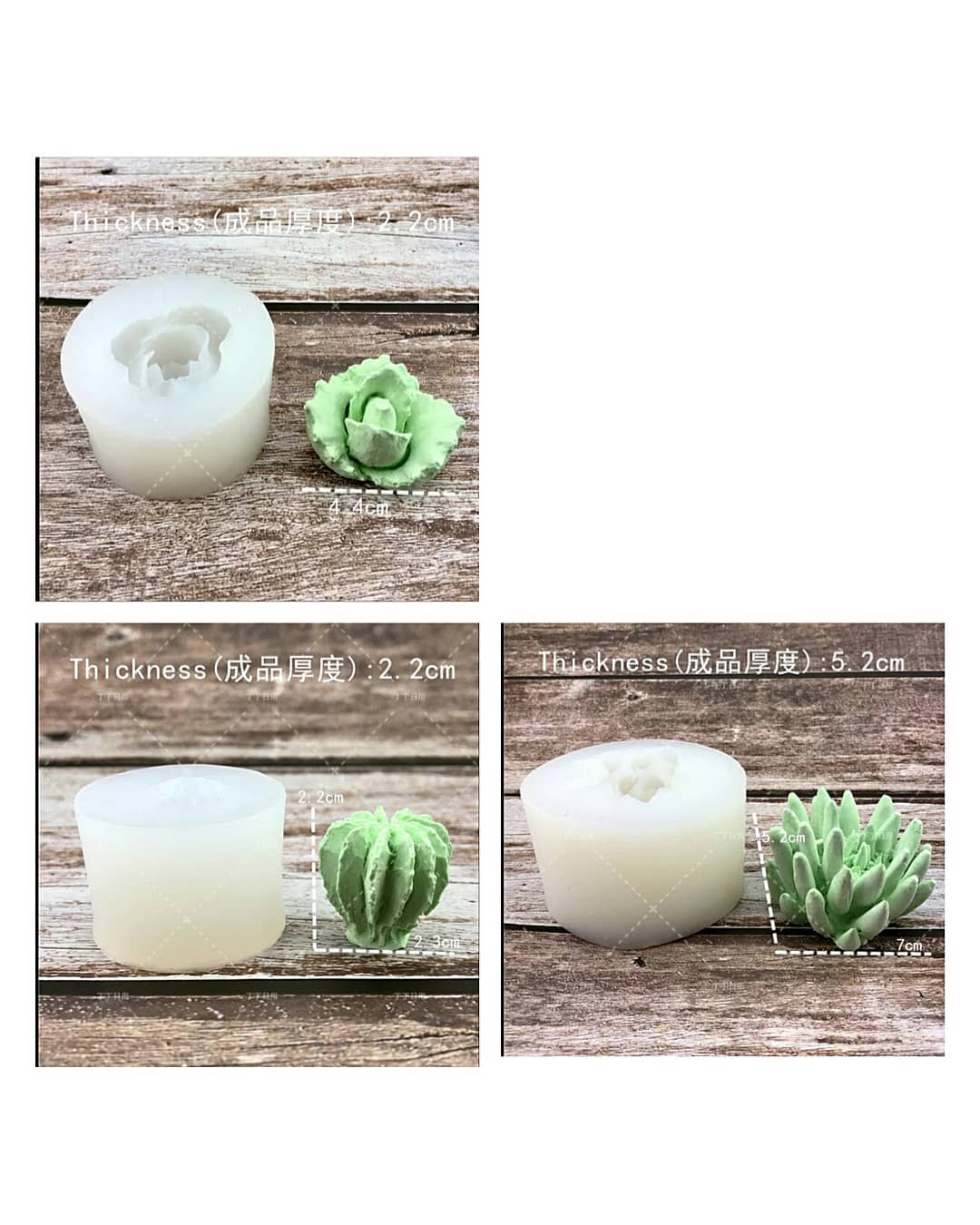  قالب 3 بعدی کاکتوس(11 طرح)