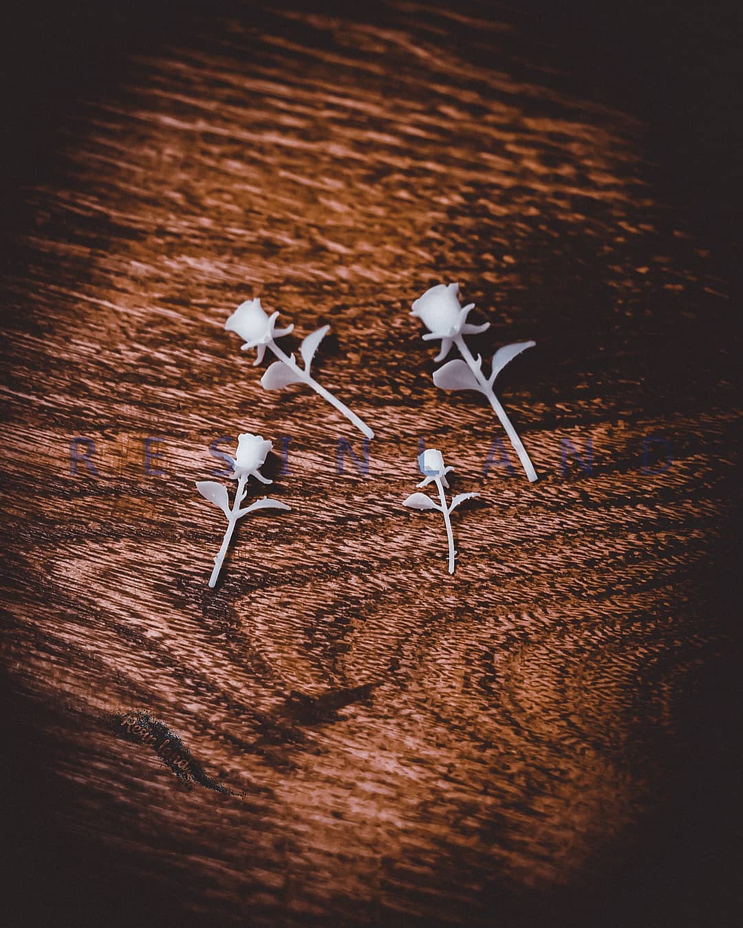  خرجکار گل رز