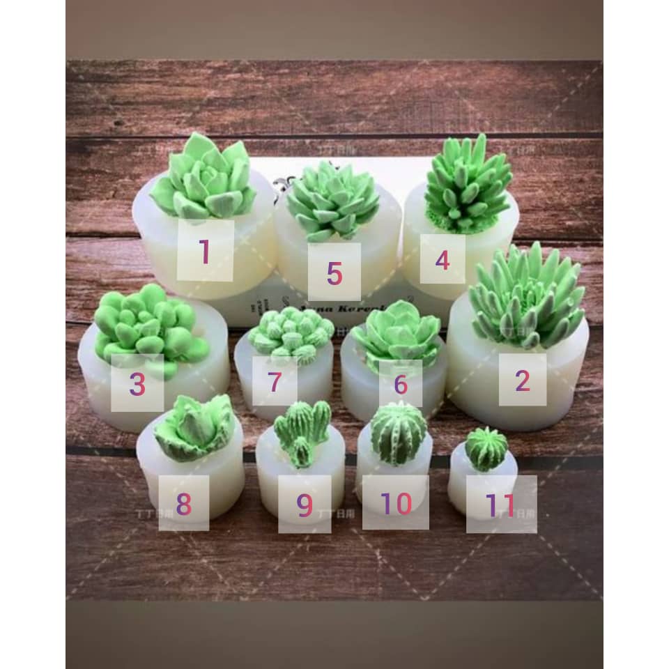  قالب 3 بعدی کاکتوس(11 طرح)