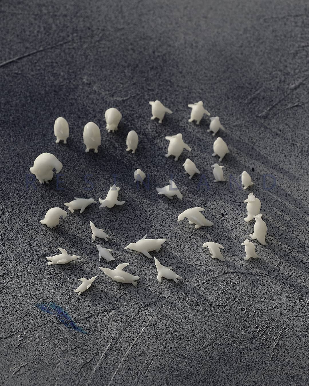  خرجکار پنگوئن