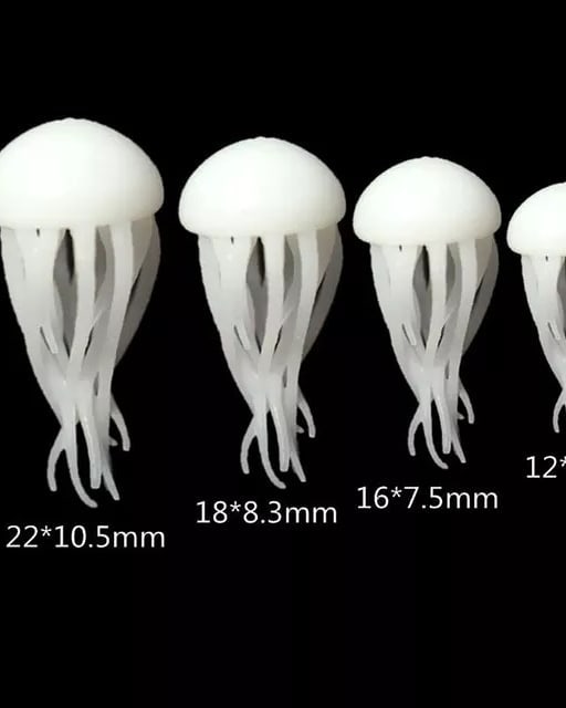  عروس دریایی