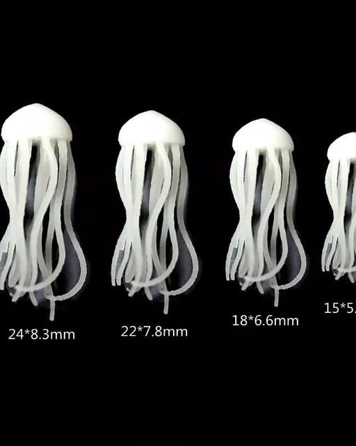  عروس دریایی