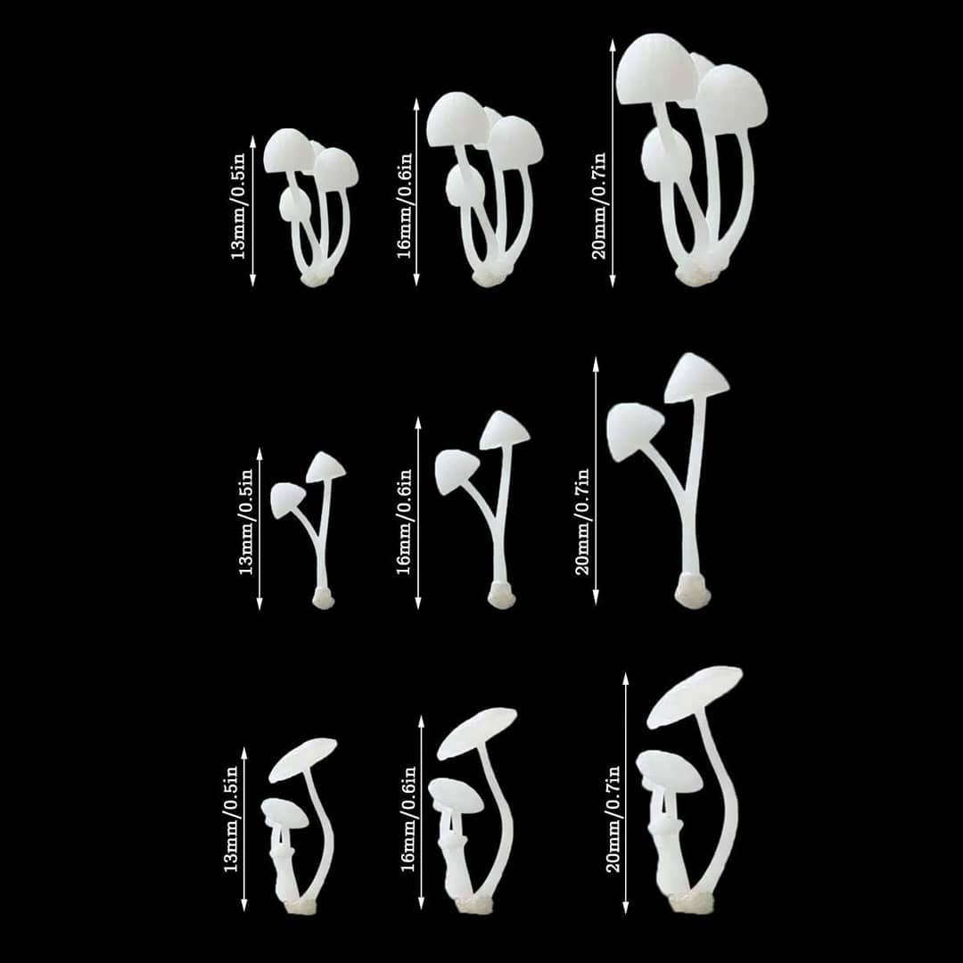  خرجکار قارچ