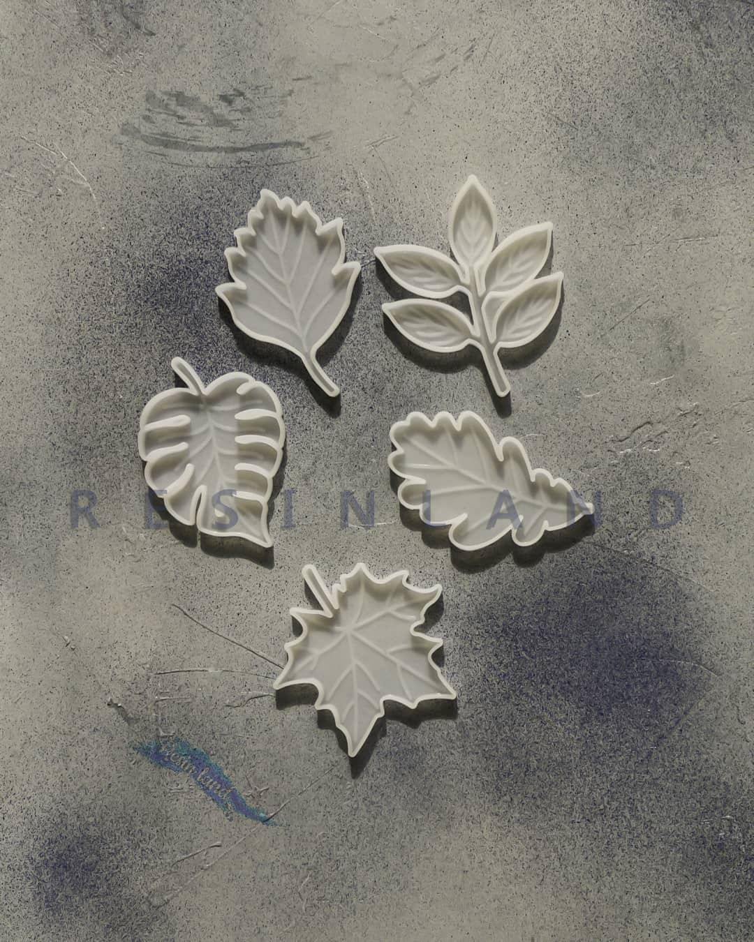  قالب زیرلیوانی برگ(5طرح)