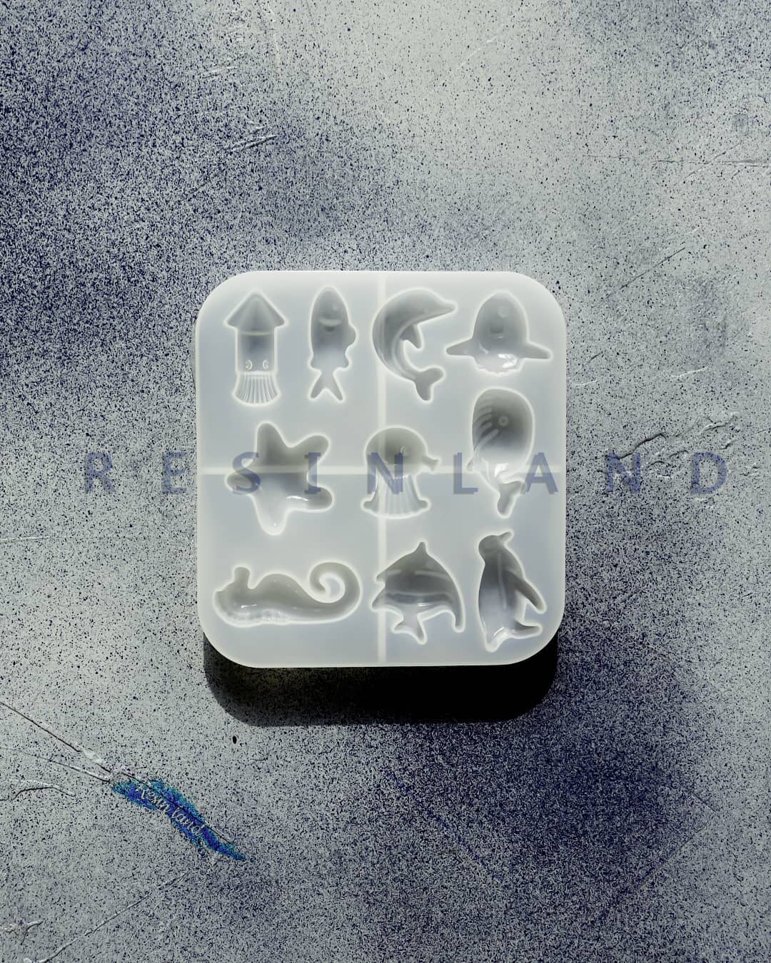  موجودات دریایی(2)