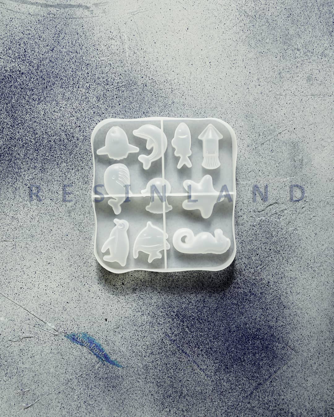  موجودات دریایی(2)