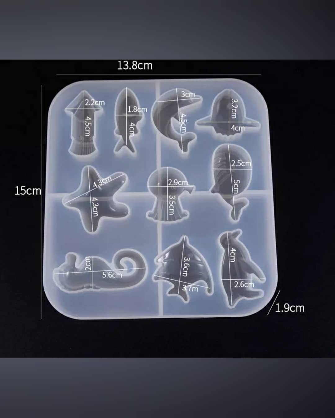  موجودات دریایی(2)