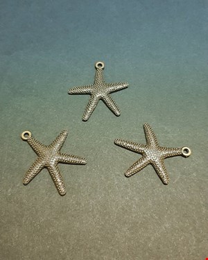 آویز ستاره دریایی برنزی