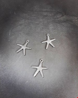 آویز ستاره دریایی(نقره ایی)