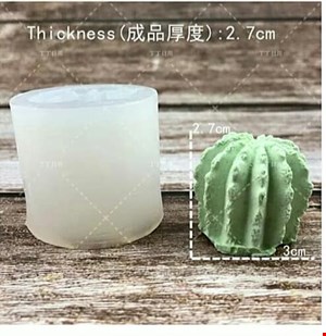 قالب 3 بعدی کاکتوس(11 طرح)