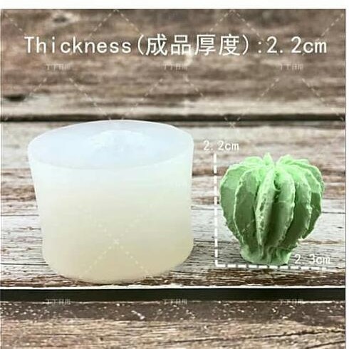 قالب 3 بعدی کاکتوس(کد 11)