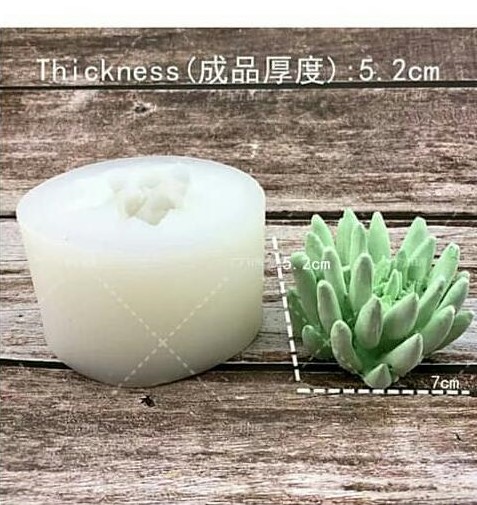 قالب 3 بعدی کاکتوس(کد2)