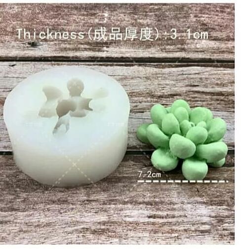 قالب 3 بعدی کاکتوس(کد3)