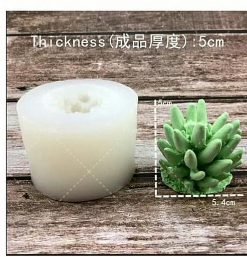 قالب 3 بعدی کاکتوس(کد4)