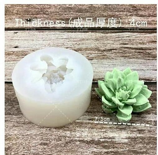 قالب 3 بعدی کاکتوس(کد 5)