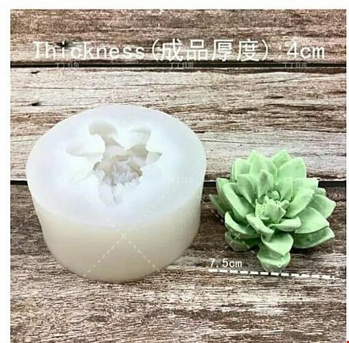 قالب 3 بعدی کاکتوس(11 طرح)