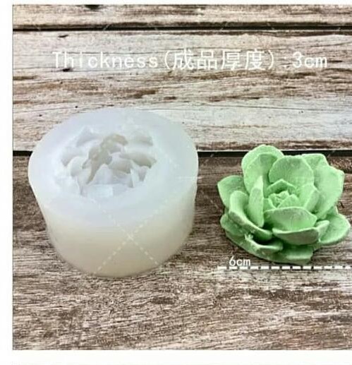 قالب 3 بعدی کاکتوس(کد 6)