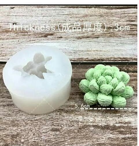 قالب 3 بعدی کاکتوس(کد 7)